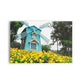 FLORES 25
