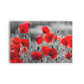 FLORES 15