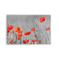 FLORES O3