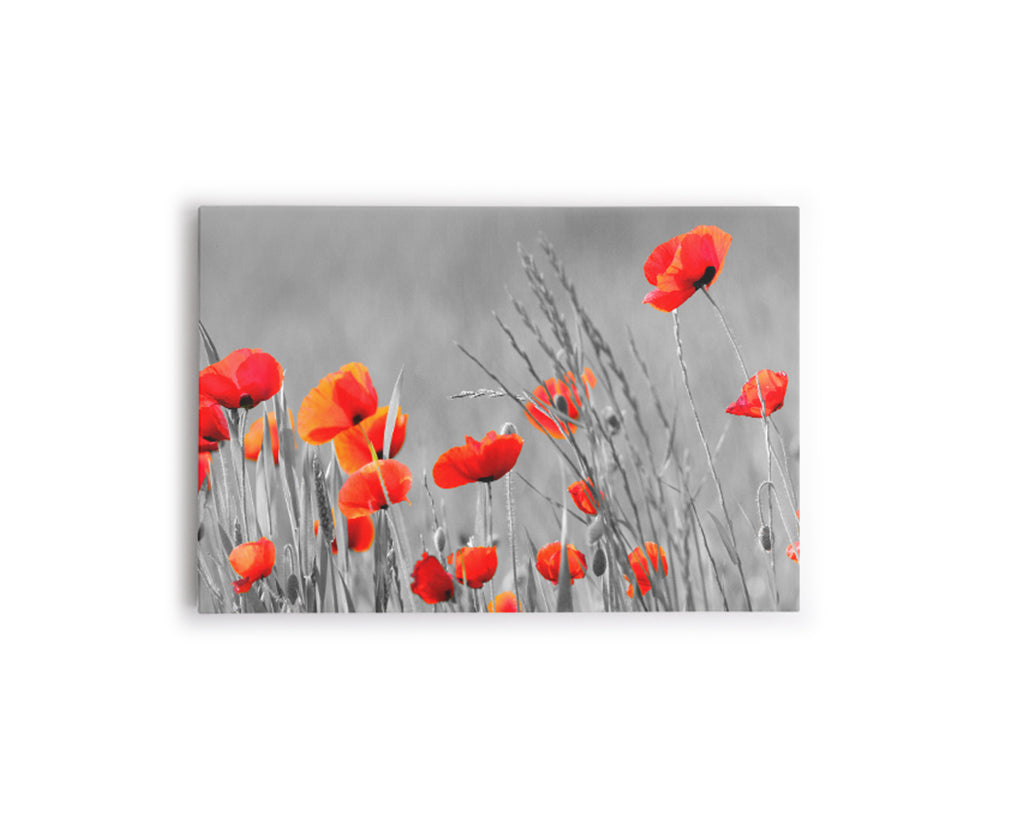 FLORES O3