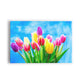 FLORES 19