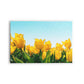 FLORES 23