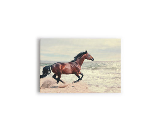 A- CABALLO PLAYA 70