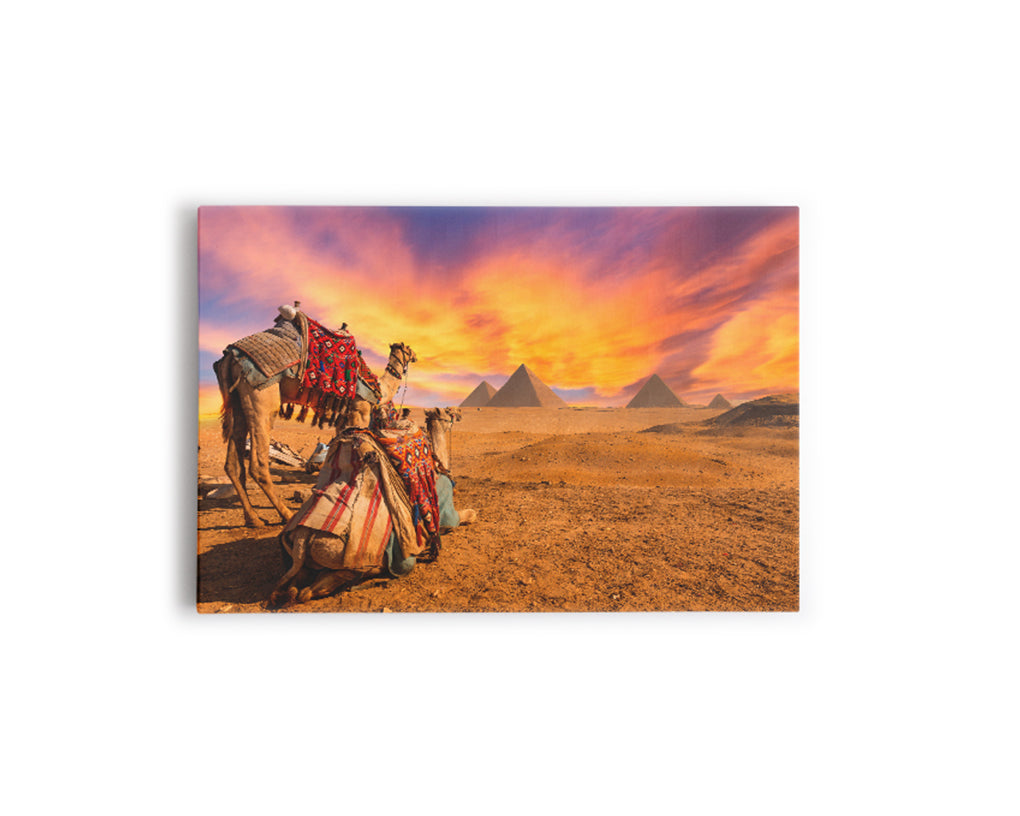 N- DESIERTO EGIPTO 5