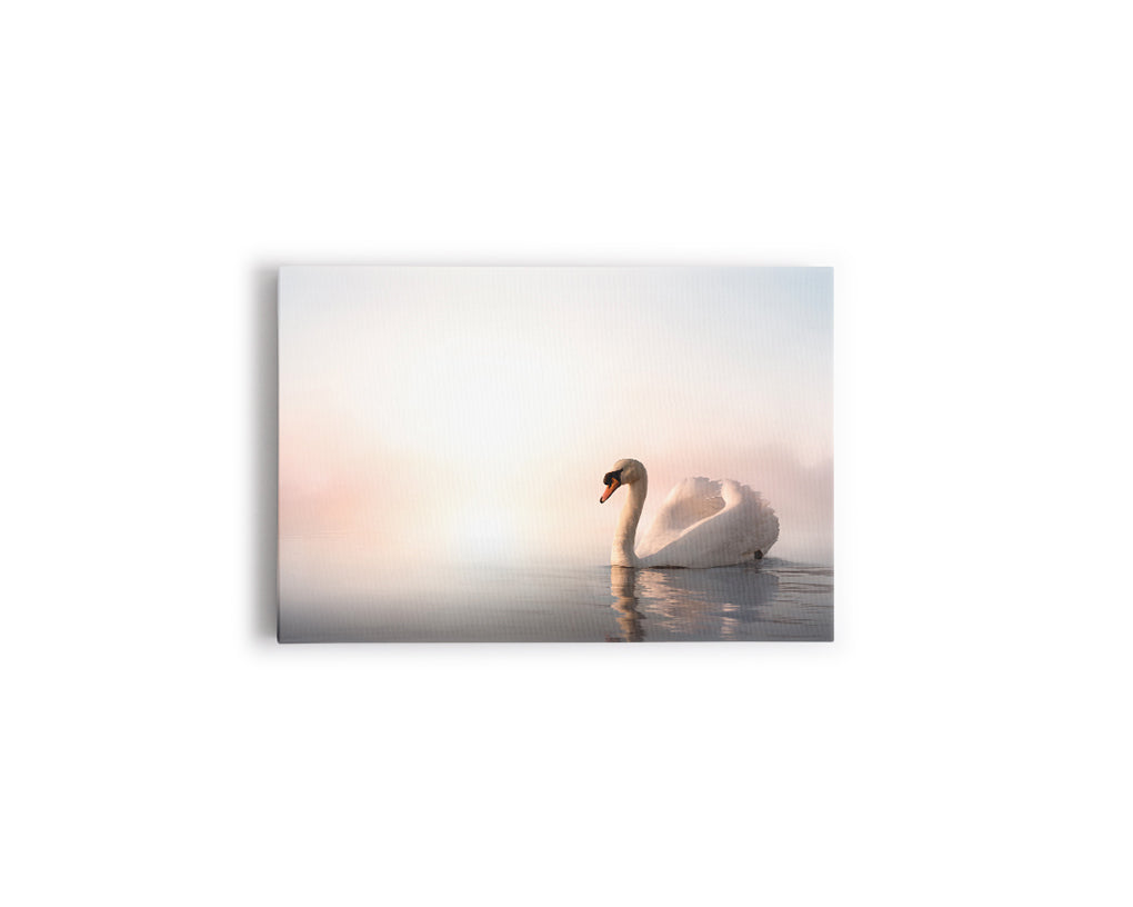 A- CISNE LAGO 68