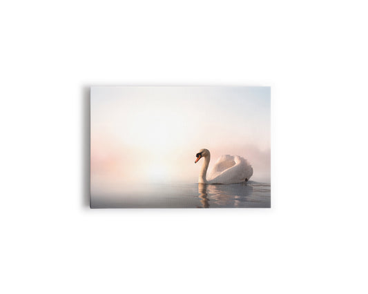 A- CISNE LAGO 68