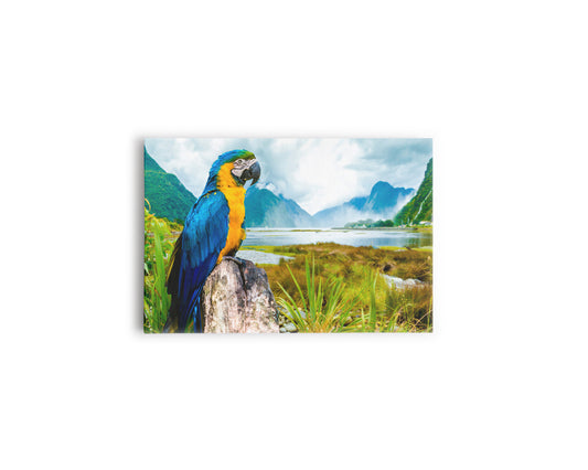 A- GUACAMAYA AMANECER 100