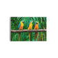 A- GUACAMAYAS 74