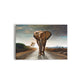 A- ELEFANTE CAMINO 65