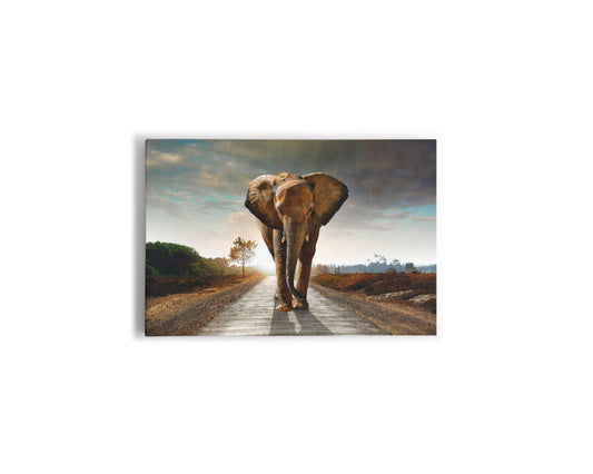 A- ELEFANTE CAMINO 65