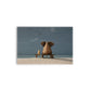 A- ELEFANTE PLAYA 77