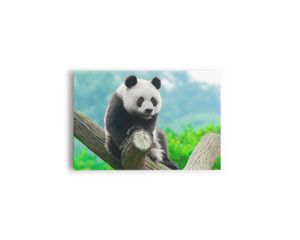 A- PANDA EN TRONCO 56