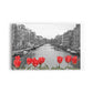 CI- AMSTERDAN TULIPANES 28