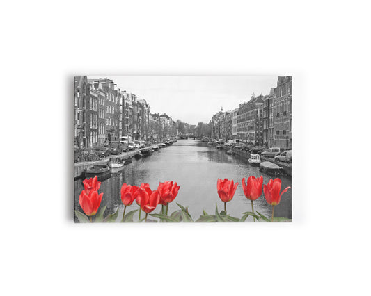 CI- AMSTERDAN TULIPANES 28