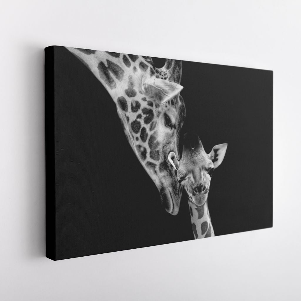 BLANCO & NEGRO 5