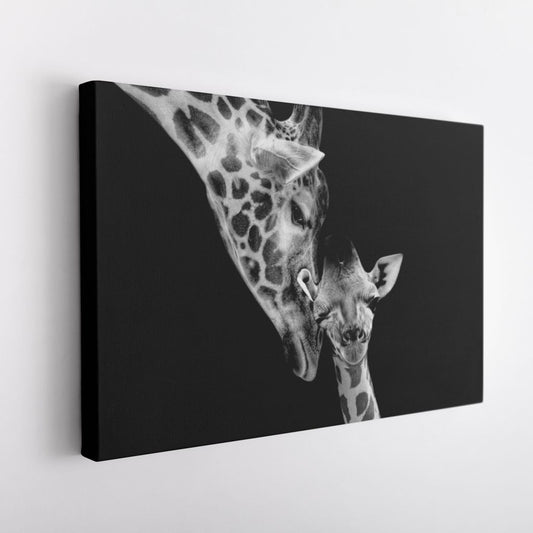 BLANCO & NEGRO 5