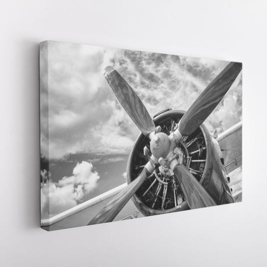 BLANCO & NEGRO 10