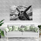 BLANCO & NEGRO 10