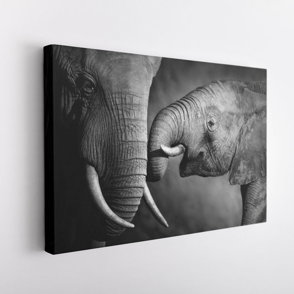 BLANCO & NEGRO 12