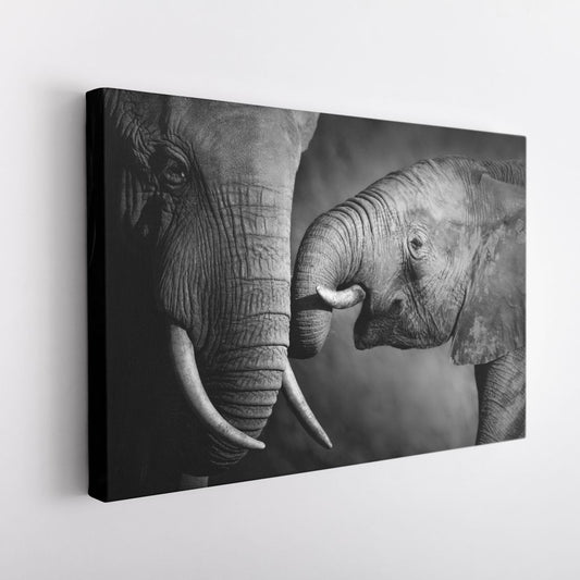 BLANCO & NEGRO 12