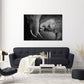 BLANCO & NEGRO 12
