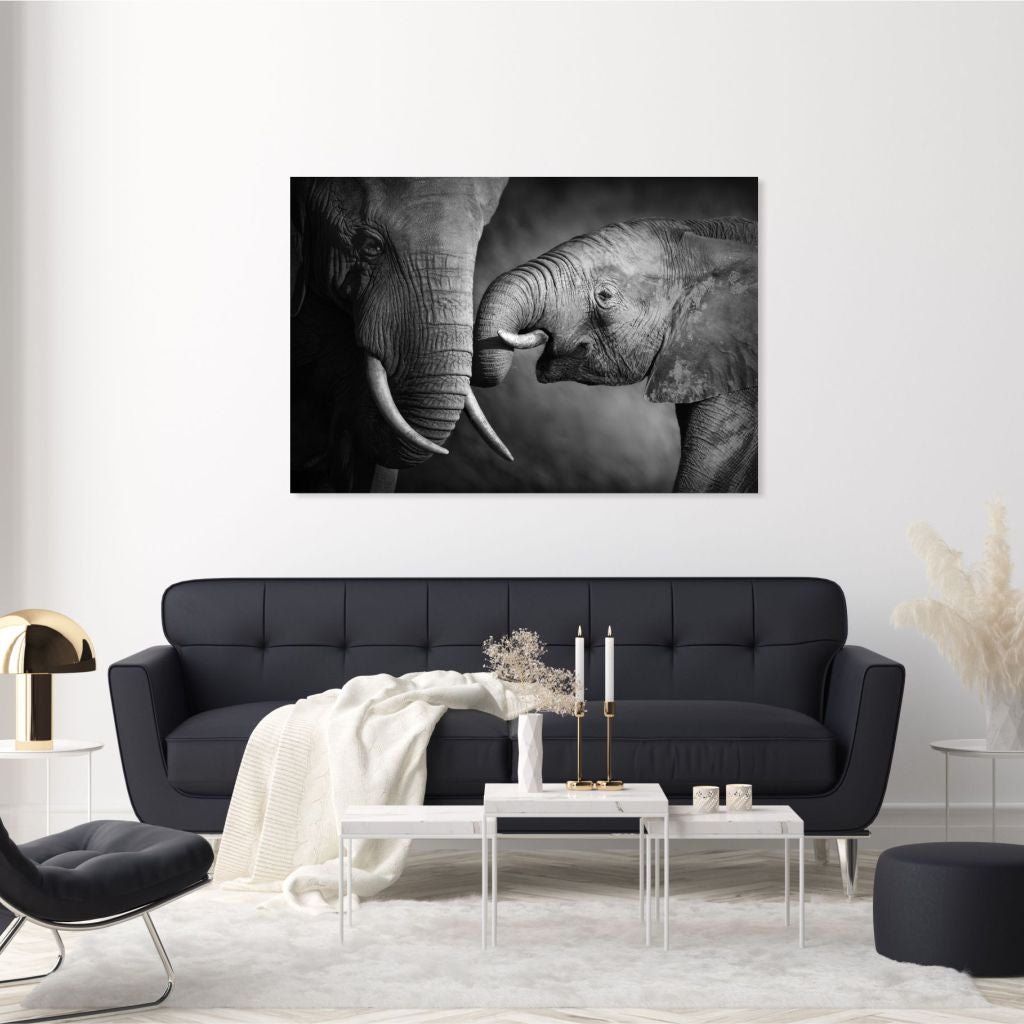 BLANCO & NEGRO 12